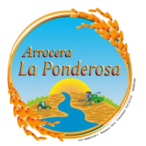 Proyecto de Studio - 2022-11-30T223742.115